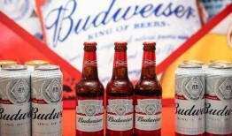 百威公司最新疫情爆料,揭秘全球啤酒巨头防疫举措与挑战”