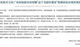 南京导游爆料新闻视频,揭秘古都背后的故事与真相